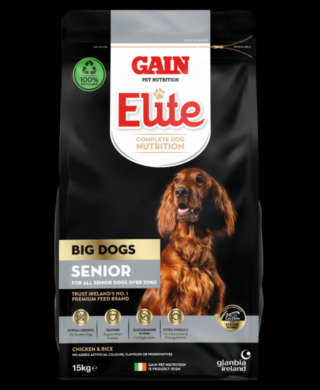 GAIN BIG DOG SENIOR 12KG