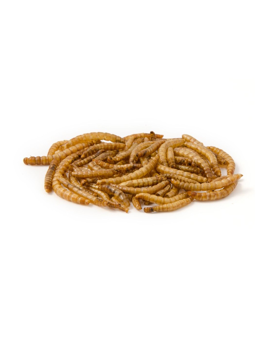 CHIRPY MEALWORM 12.55KG